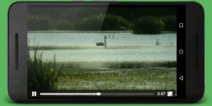 torrent video stream(1)